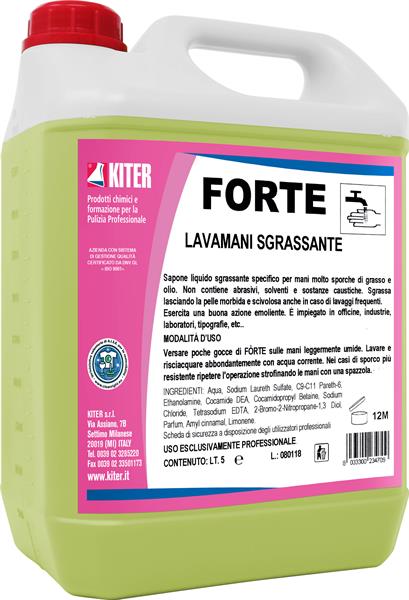 FORTE 5l LAVAMANI SGRSSANTE